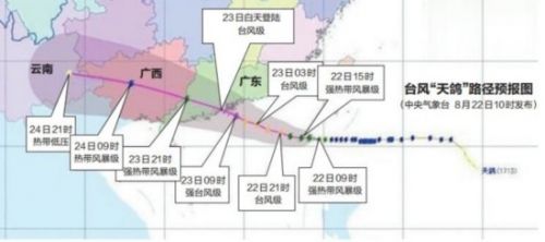 广西天鸽台风最新动态，分析、应对策略与实时消息